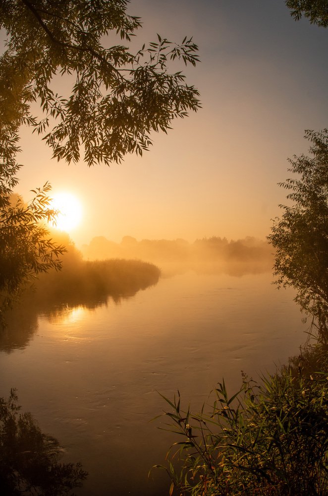 Photograph by Евгений Новицкий