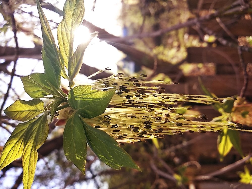 Photograph by Ирина Саттарова