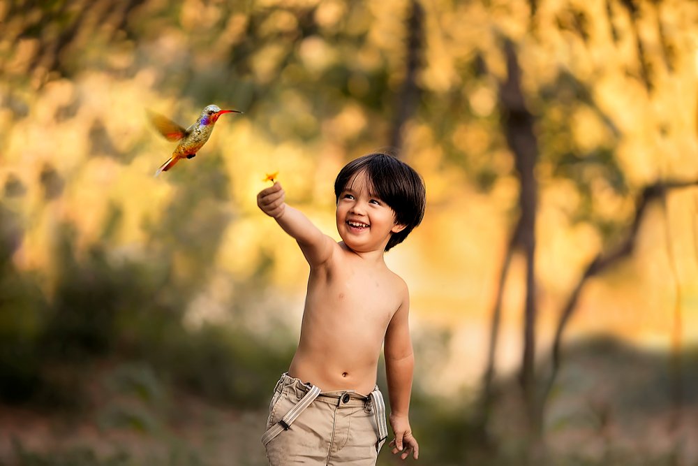 Photograph by D Santos