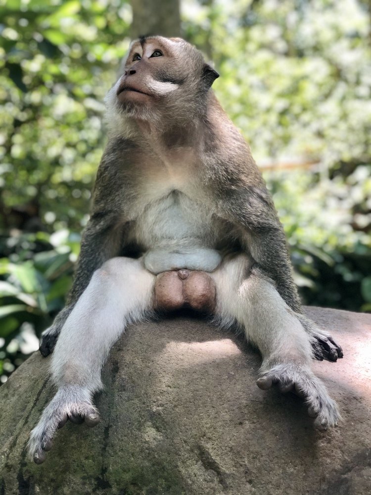 Photograph by Angella