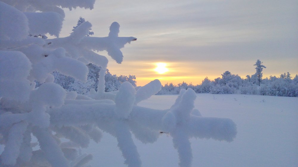 Photograph by Февралев Дмитрий