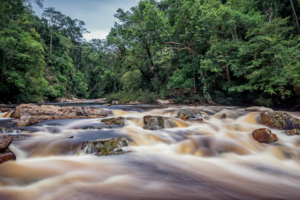 Photograph by ANMDEOS LS TEO