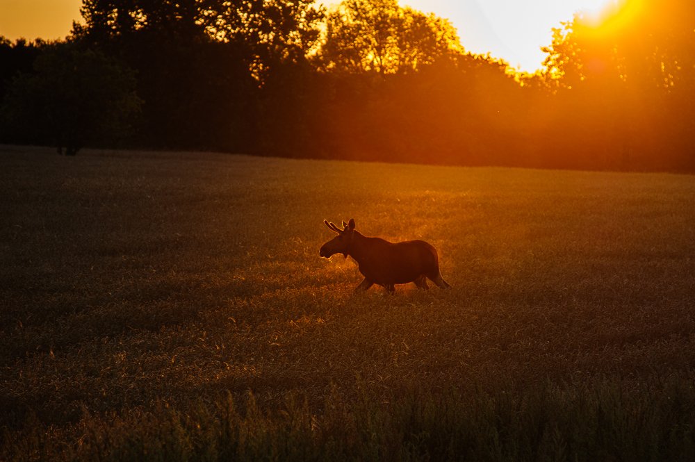 Photograph by Яроцкий Михаил