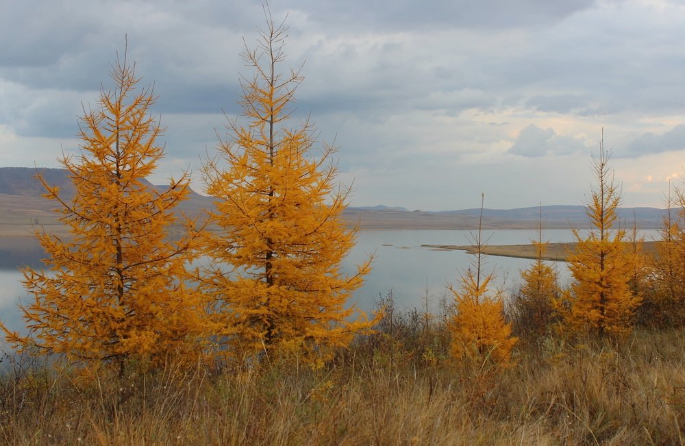 В осеннем наряде.