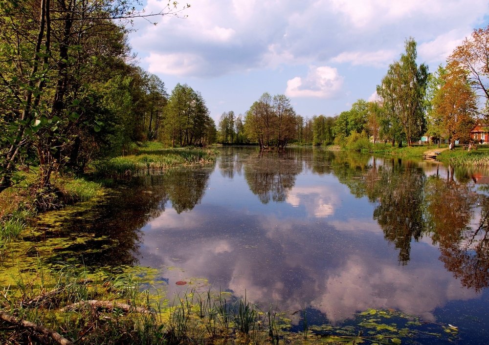 Весенняя природа.