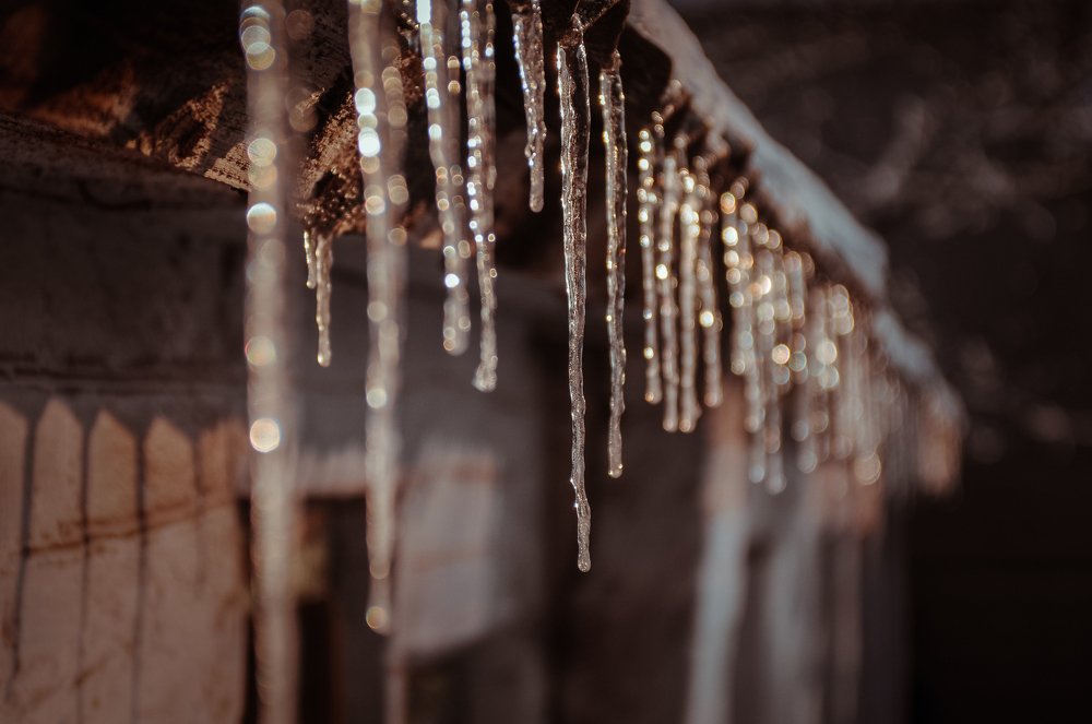 Photograph by Надежда Ходотай