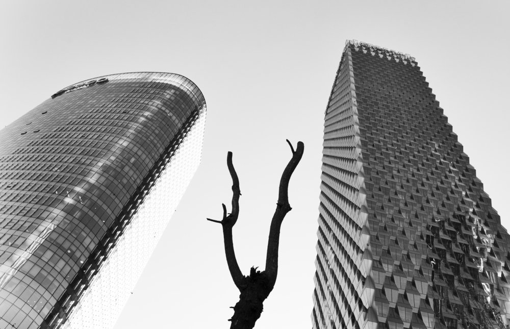 Photograph by Ivanka Iantcheva