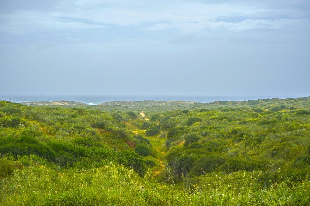 Photograph by Артём Рыбалов