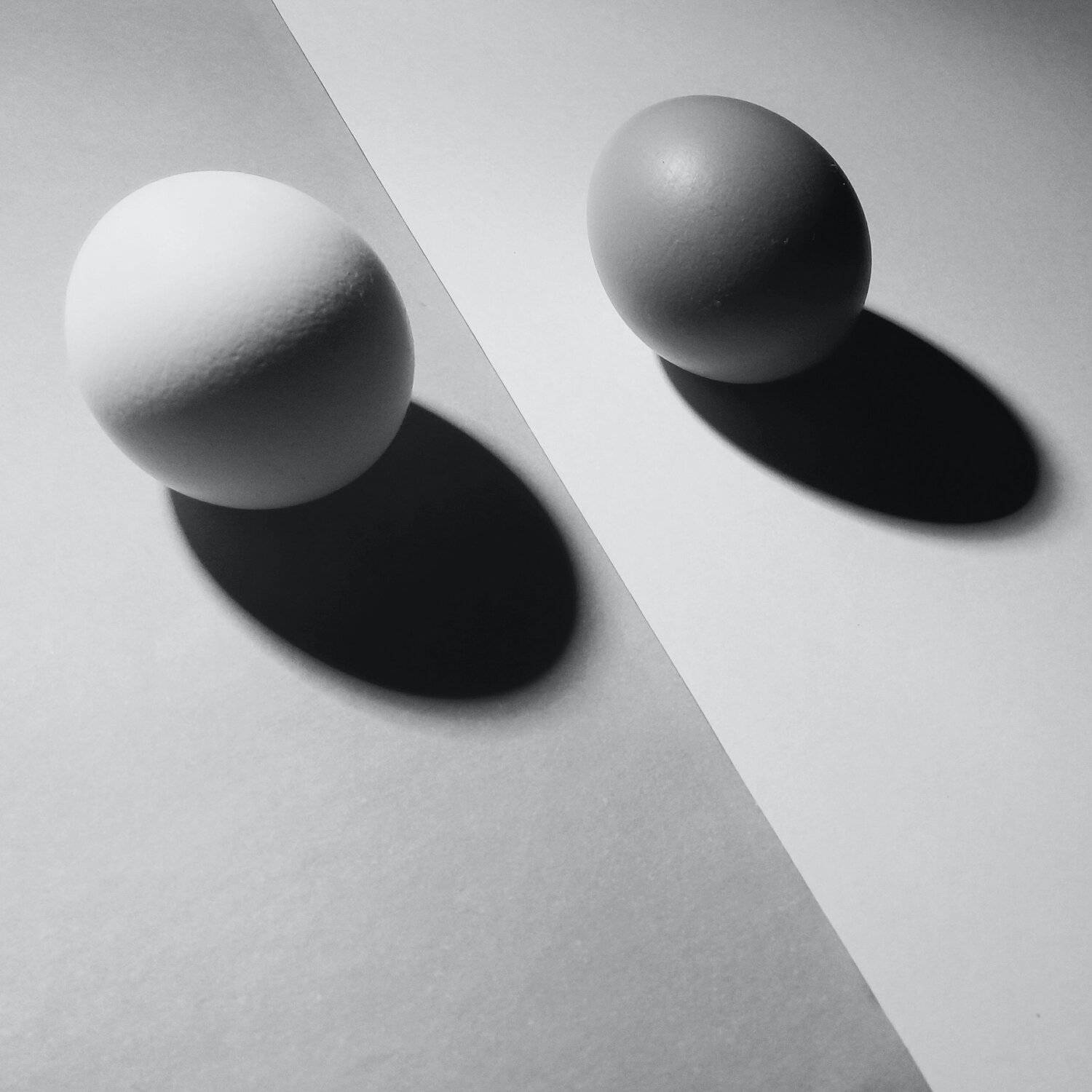 Photo #4392840