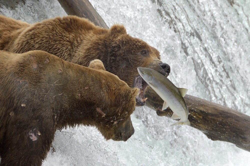 Photograph by Мария Карюхина