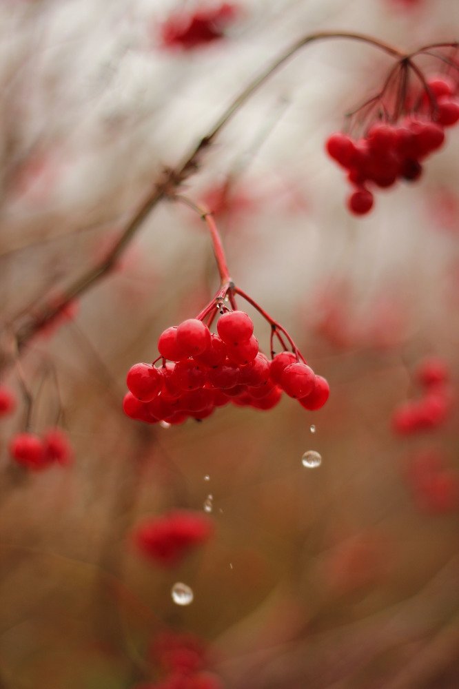 Photograph by Мария Рудак