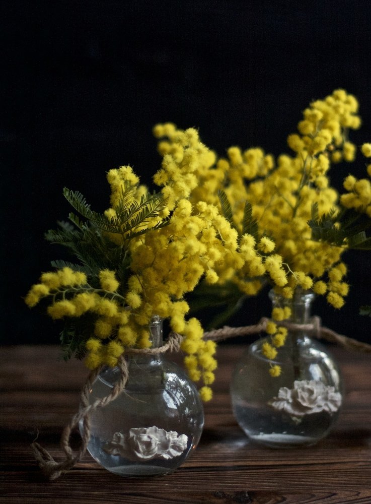 Photograph by Елена Новикова