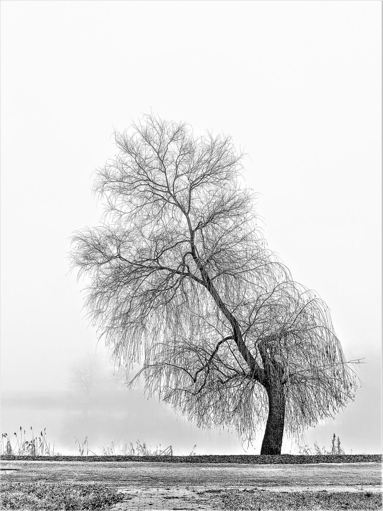 Photograph by Владимир Шнип