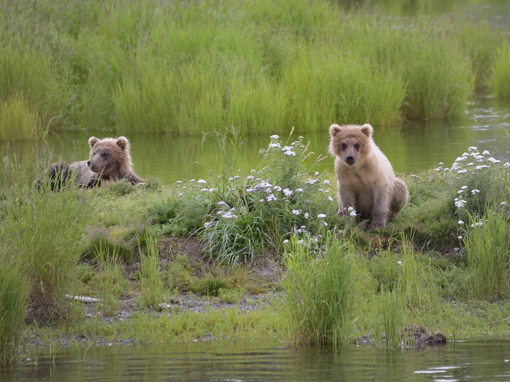 Photograph by Мария Карюхина