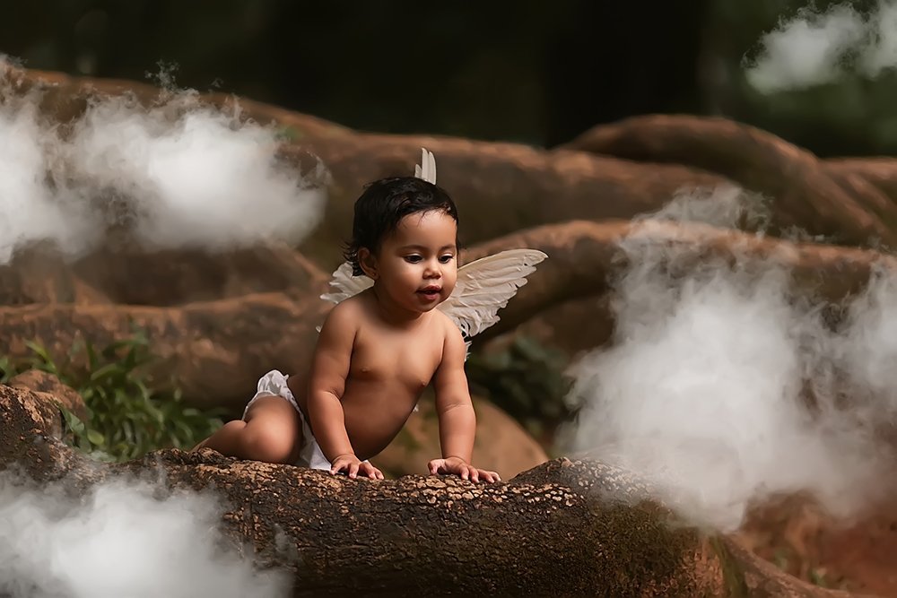 Photograph by D Santos