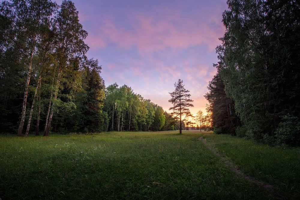 Закат в Павловском парке. Павловск.