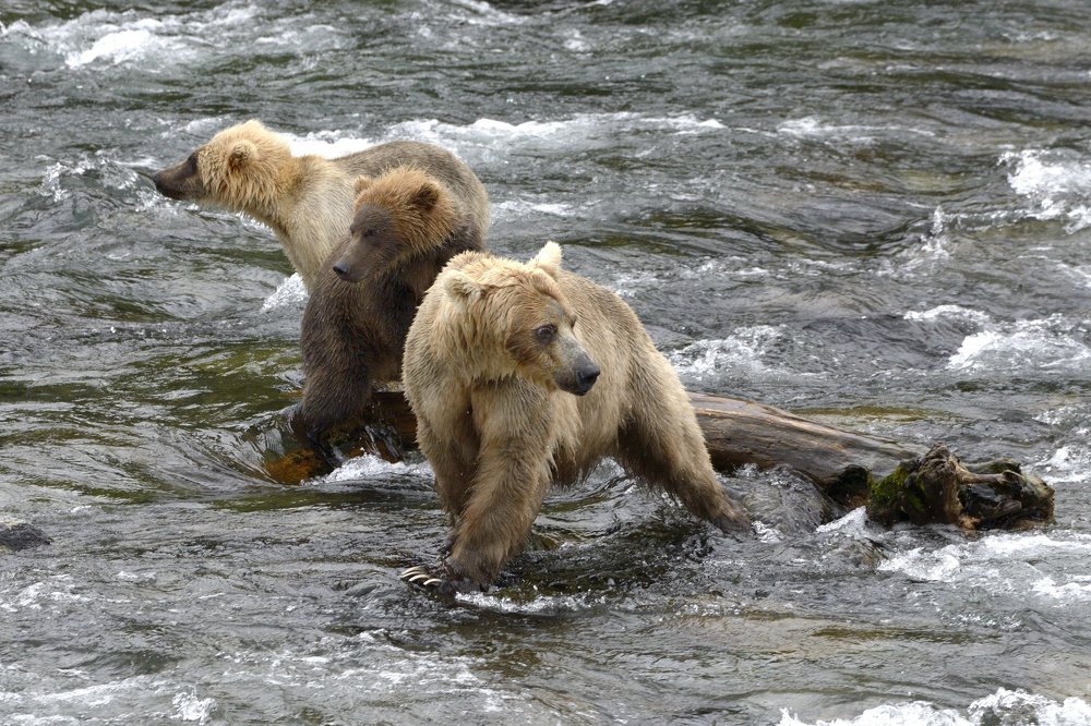 Photograph by Мария Карюхина