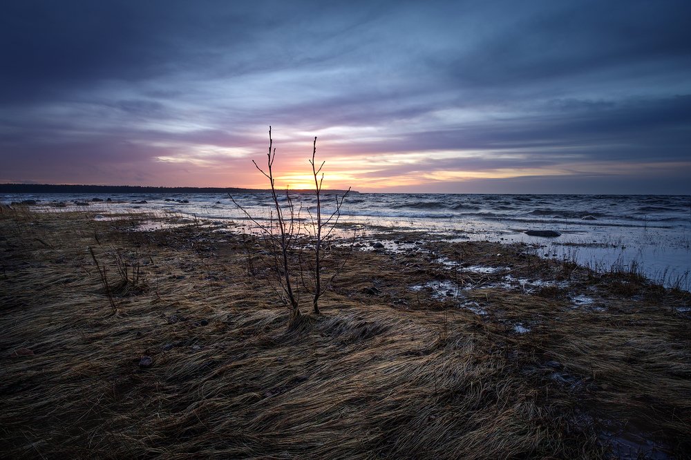 Финский залив. Январь 2020.