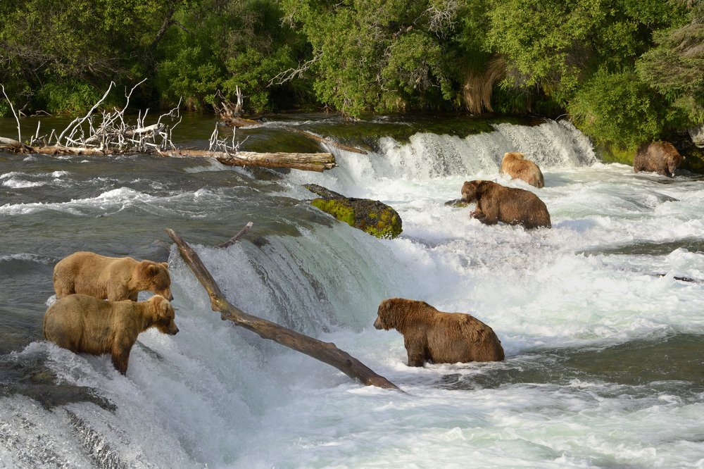 Photograph by Мария Карюхина