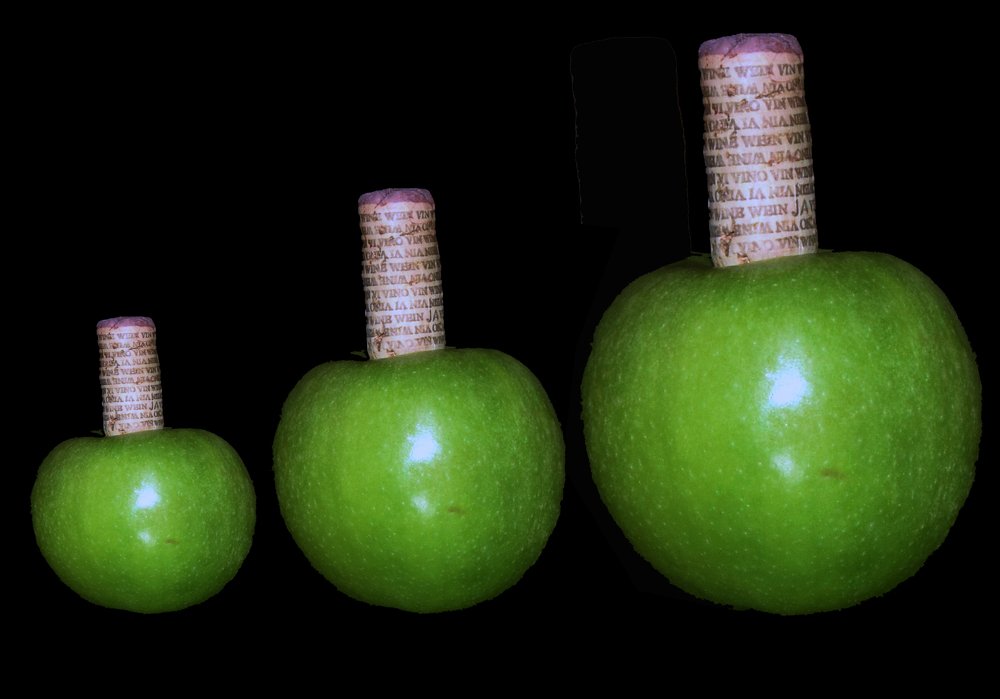 Photograph by Dan Scraba