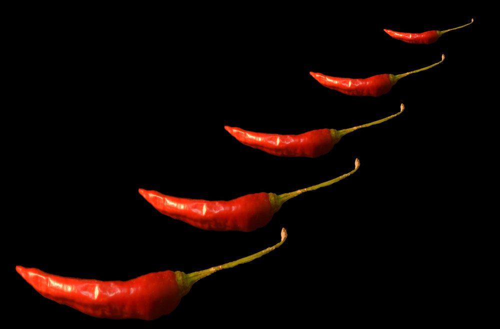 Photograph by Dan Scraba