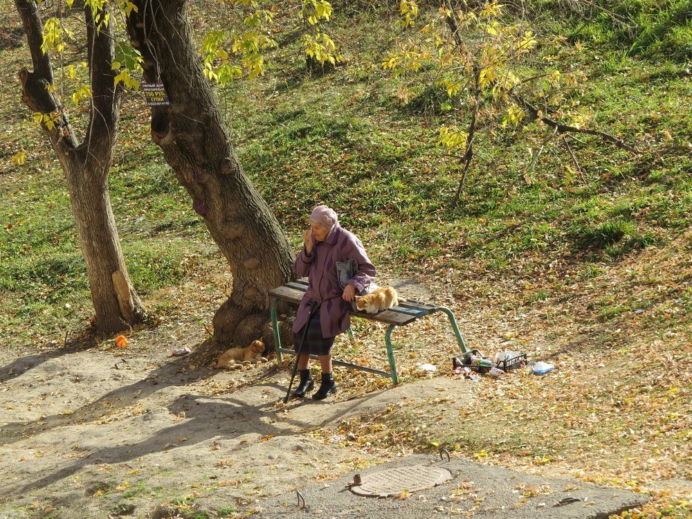 Бабушка и кошки.