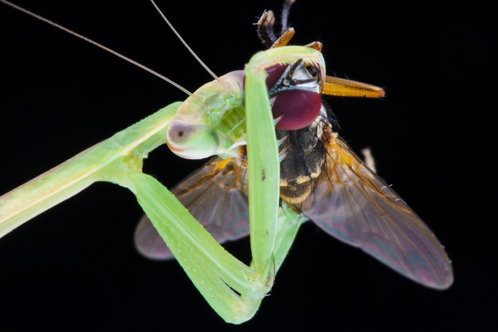 Photograph by Yulianto Pongge