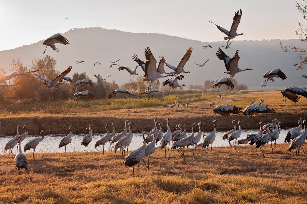 Photograph by Olga SAVINA