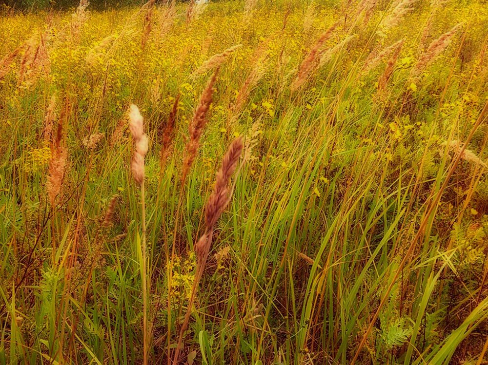 Фотография автора Люкманова Наталия