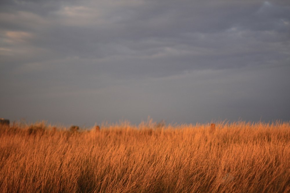 Photograph by Елизавета