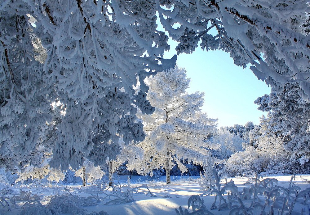 Photograph by Кузнечевская 