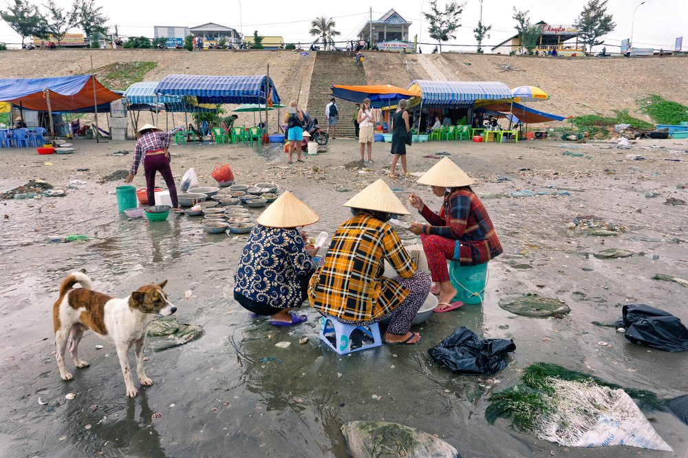 Photograph by Щербакова Галина