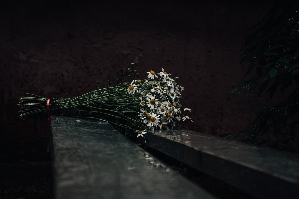 Photograph by Андрей Ероха