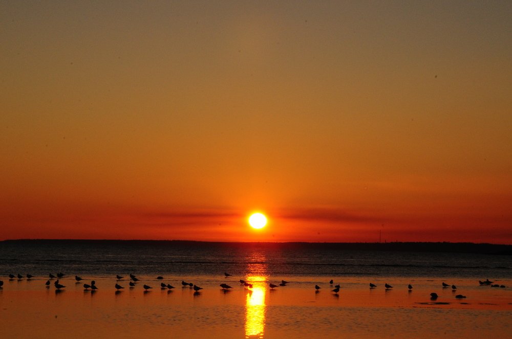 Photograph by Николай Кенгели