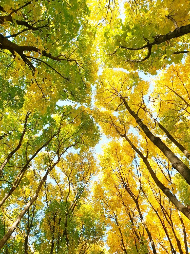 Photograph by Наталья Пагоцкая