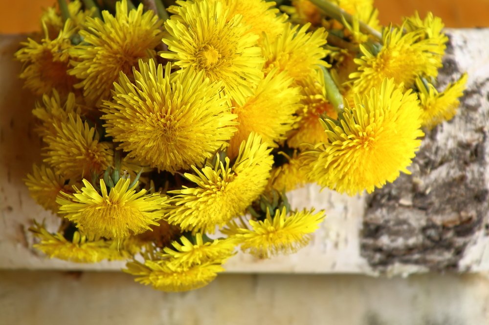 Photograph by Нина Титенкова