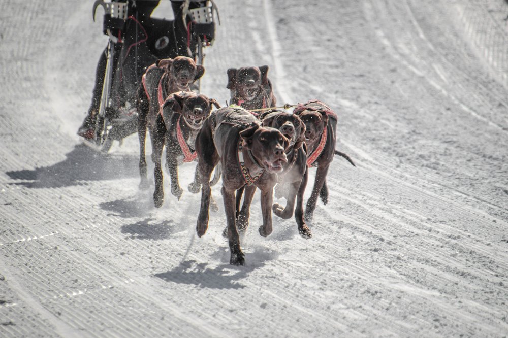 Photograph by Александр Васильев