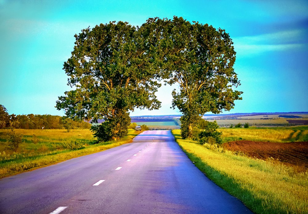 Photograph by Сергей Курников