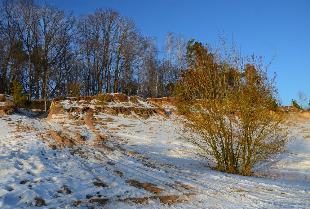 Фотография автора Елена