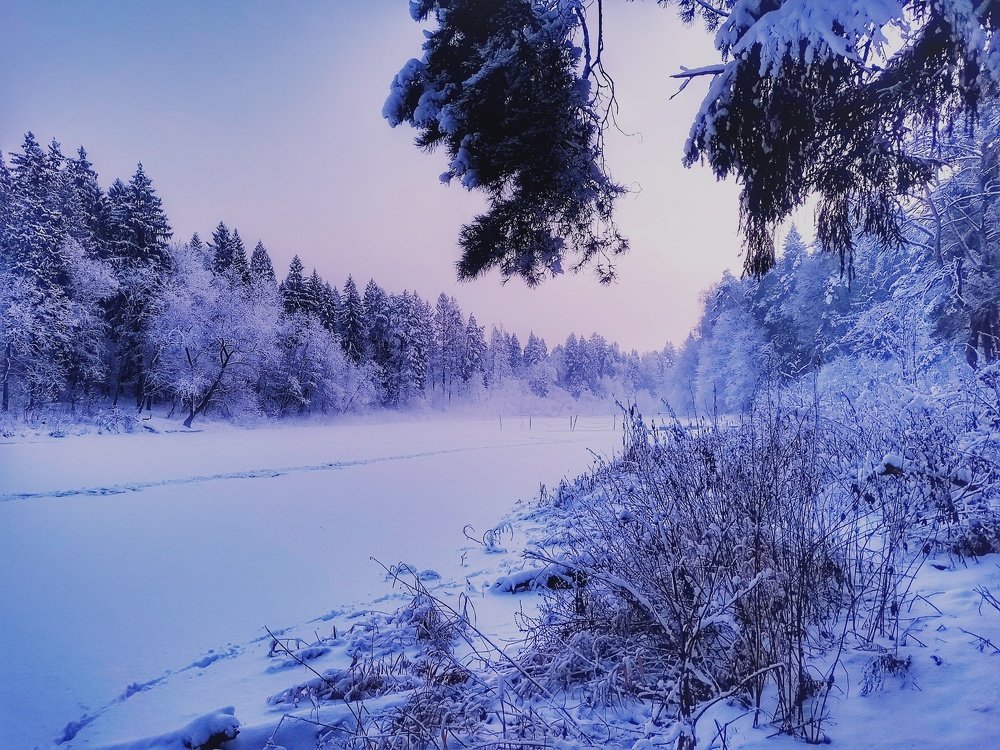 Photograph by Евгения