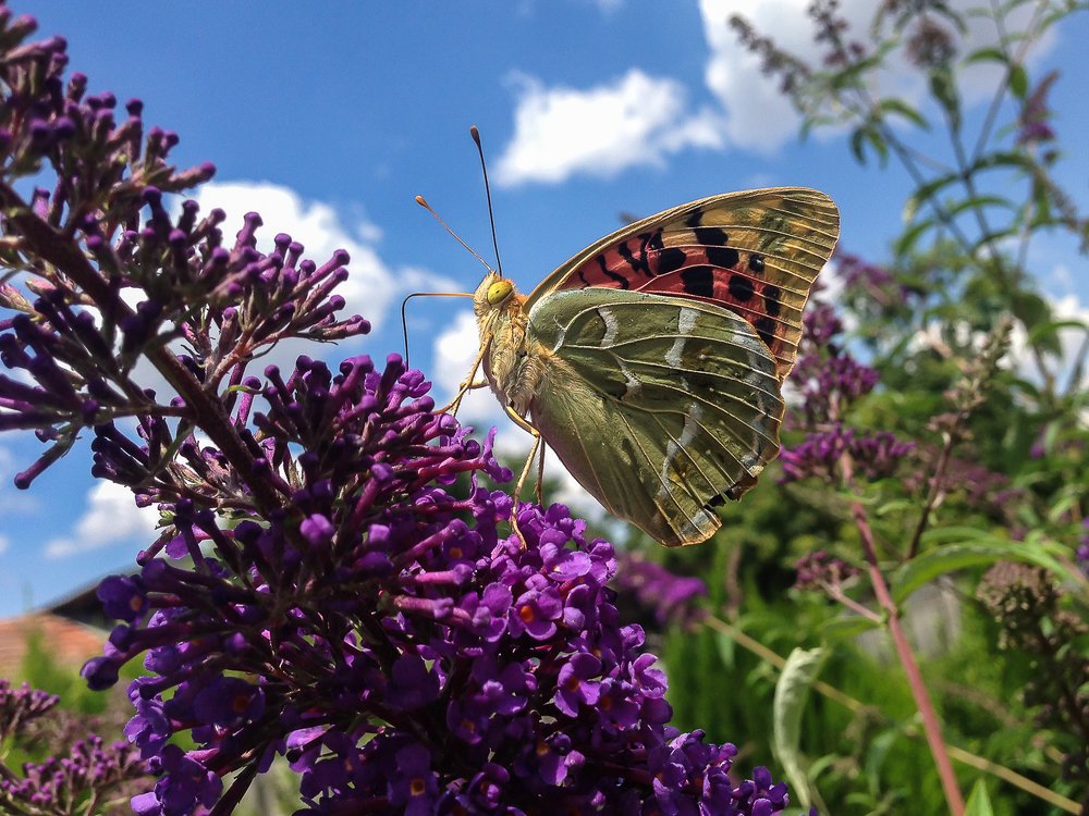 Photograph by Анатолий Мигов