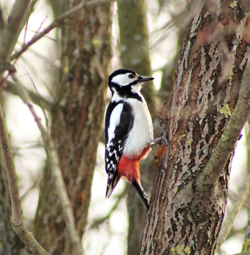 Photograph by Анастасия Рысь