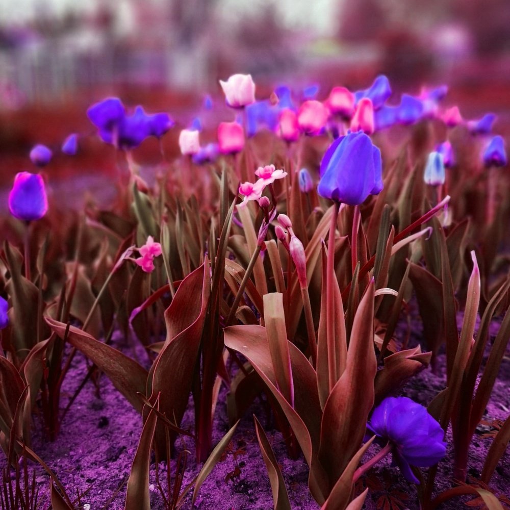 Photograph by Татьяна Чернышова