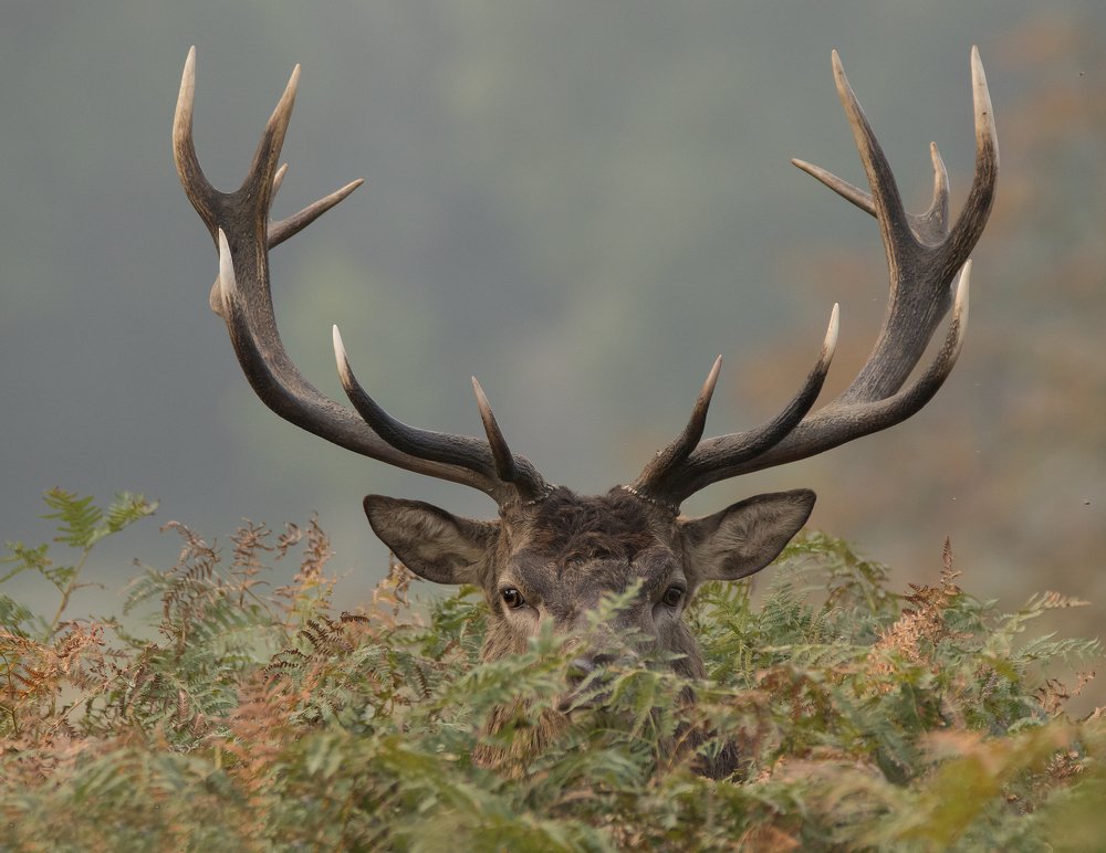 Фотография автора MARIA KULA