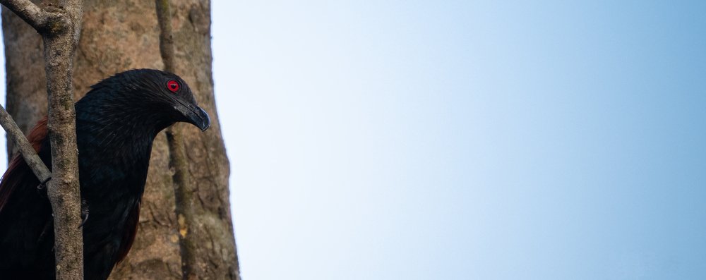 Photograph by Dasmitha Gunasekara