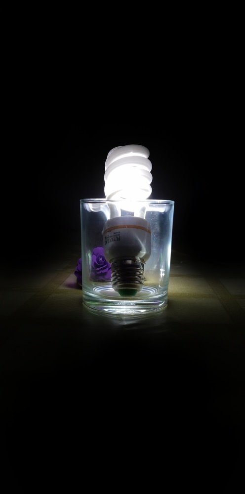 Photograph by Vishnu Prasad