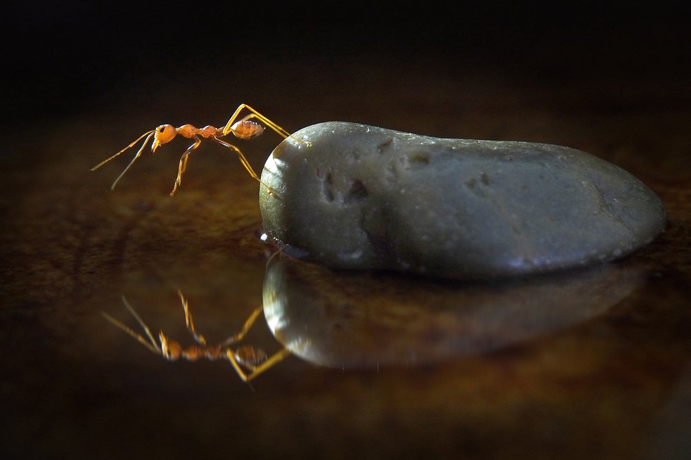 To Seacrh the way of life