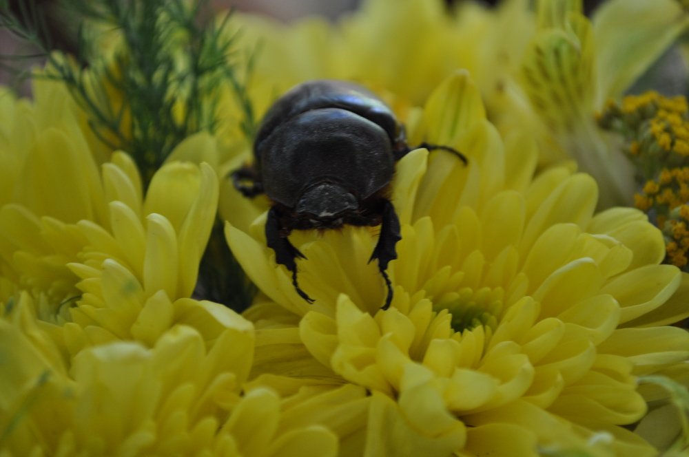 Photograph by Юрий