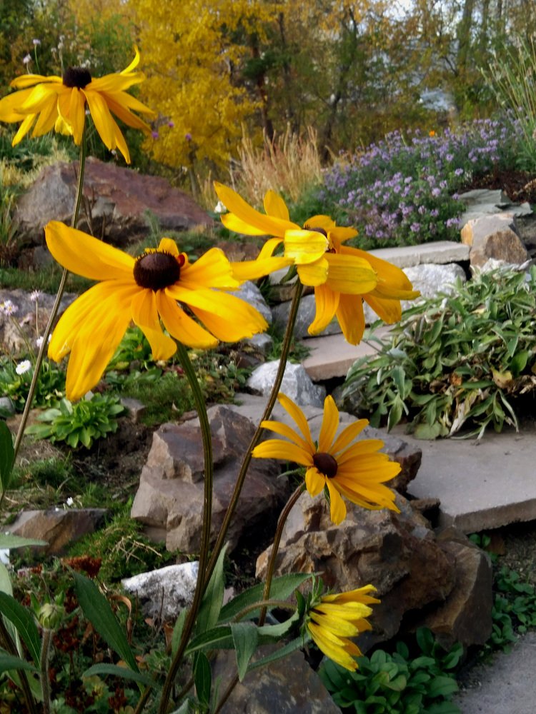 Photograph by Ирина Вассерлауф