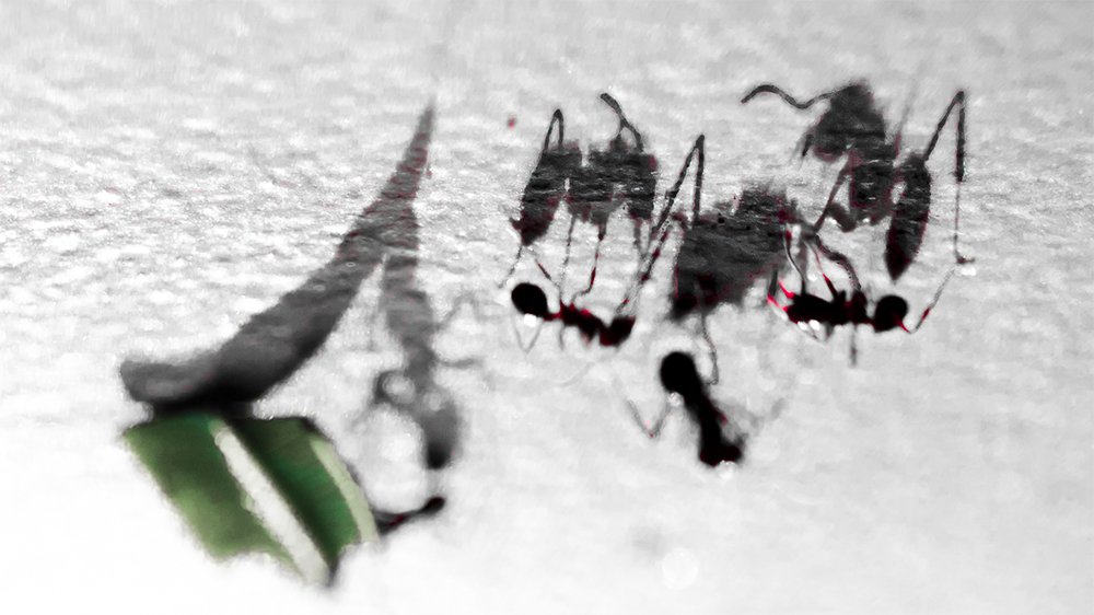 Caravana A Andrómeda!